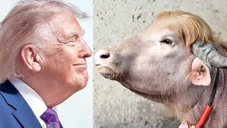 Mandayı Trump’a benzerliği kurtardı